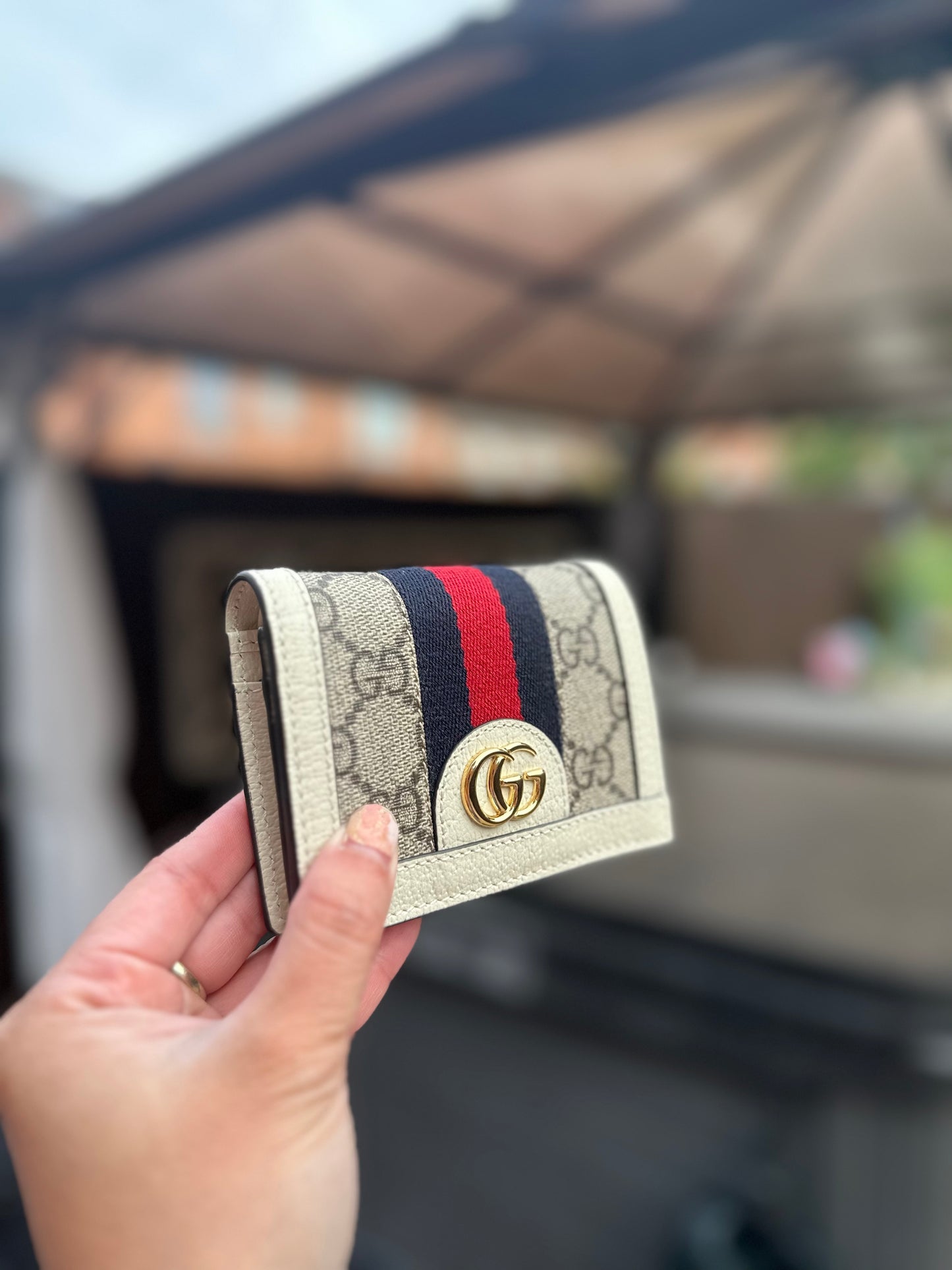 Gg ophidia wallet