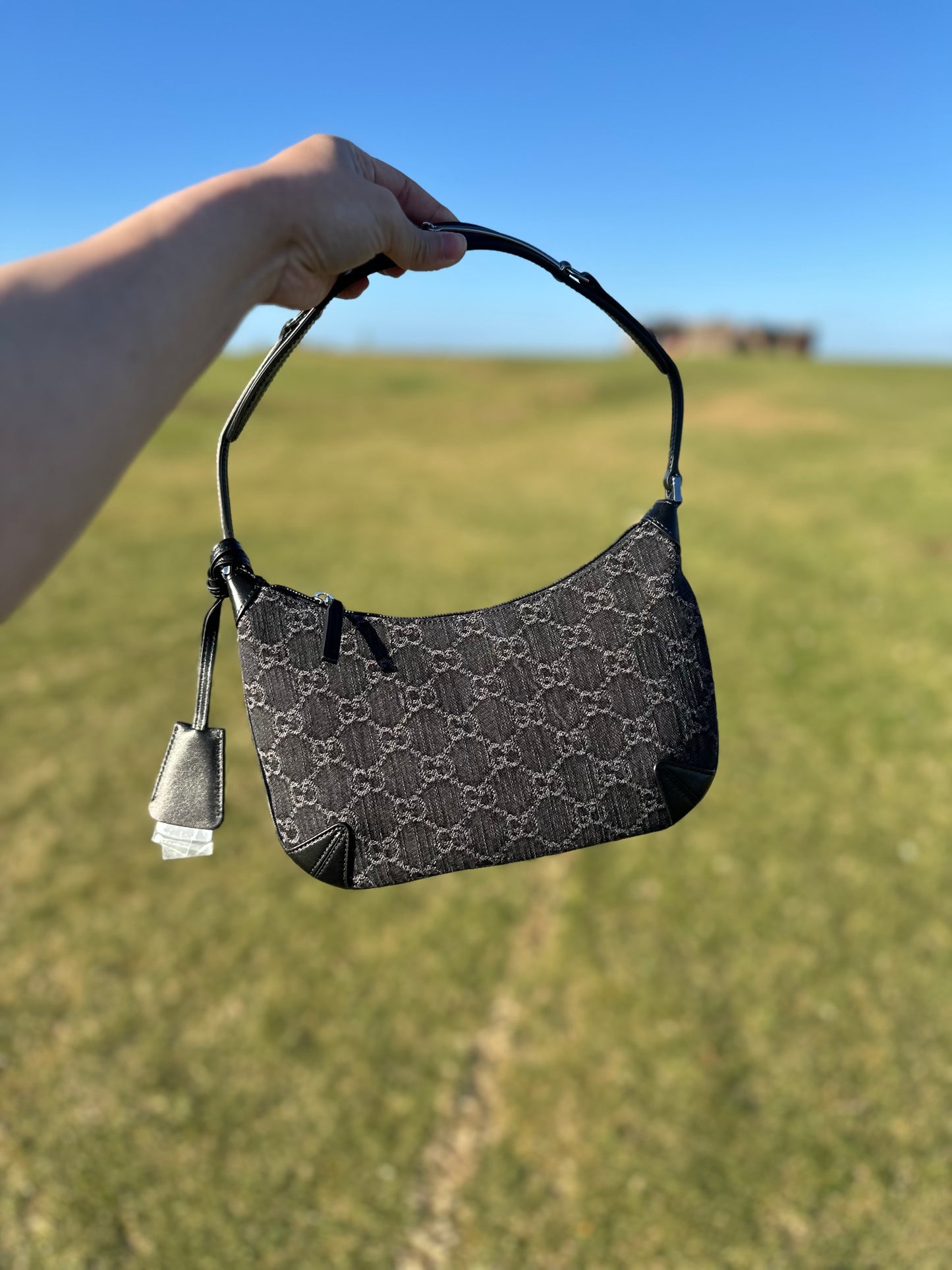 Monogram hobo shoulder bag