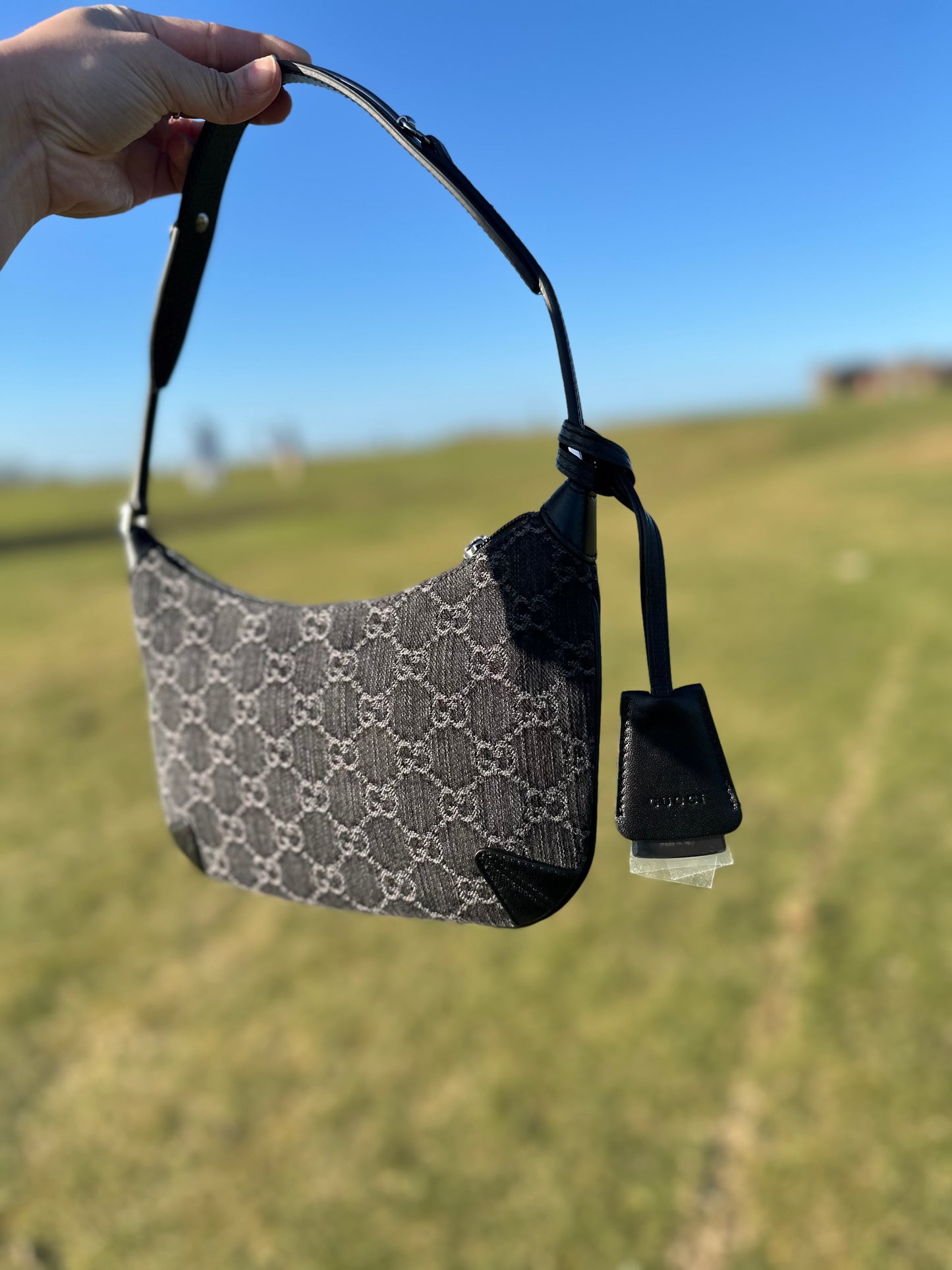 Monogram hobo shoulder bag