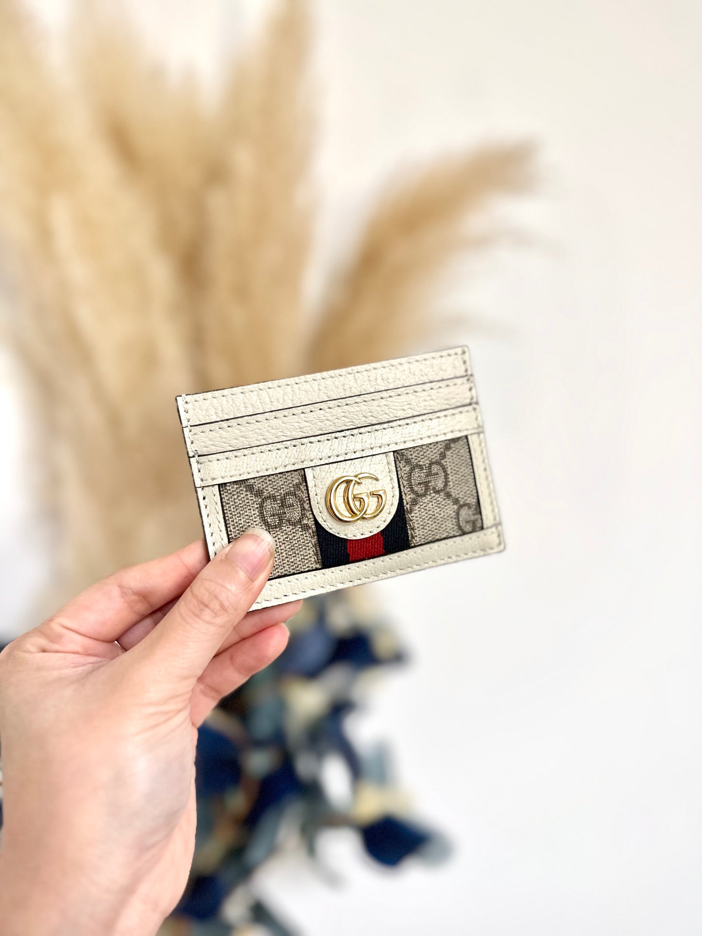 Gg ophidia Card holder