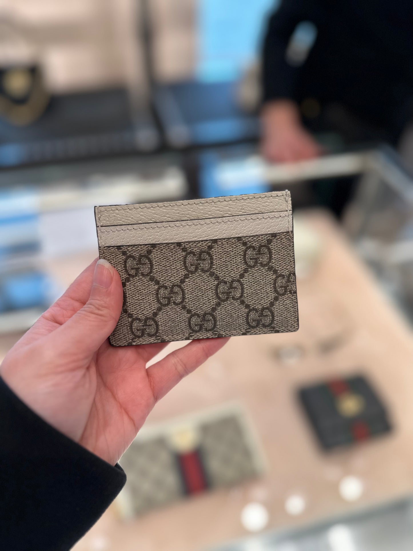 Gg ophidia Card holder