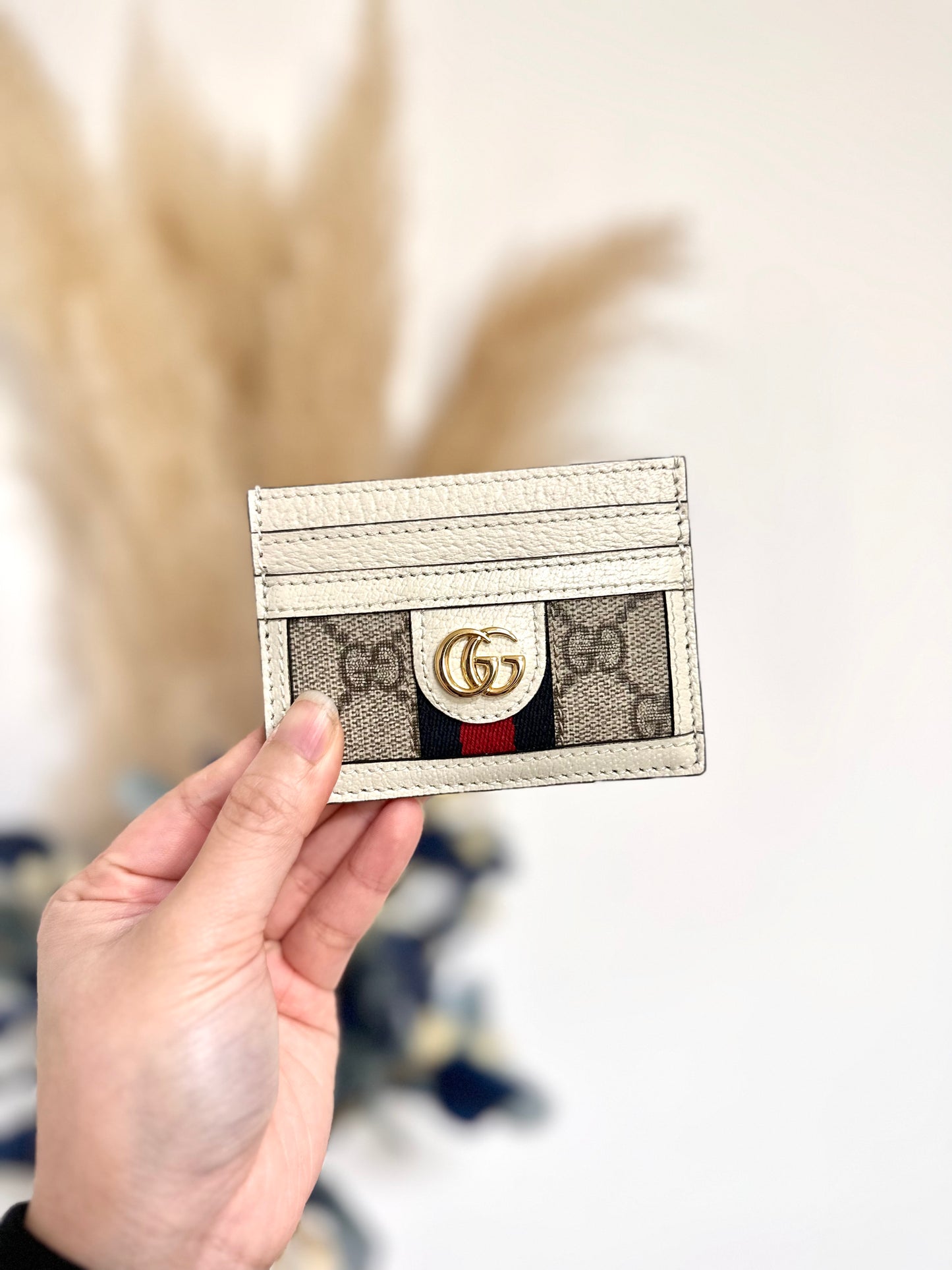 Gg ophidia Card holder