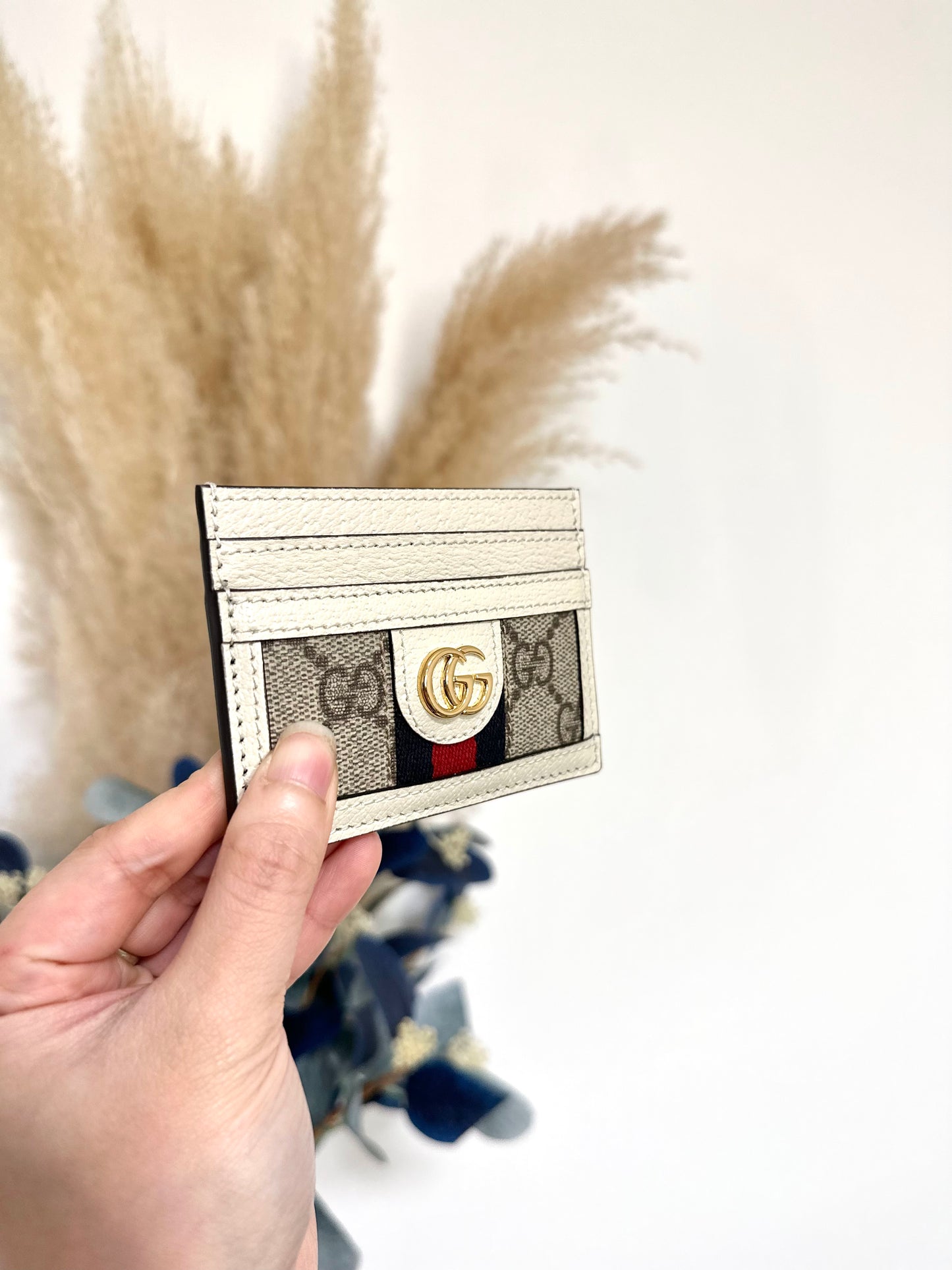Gg ophidia Card holder