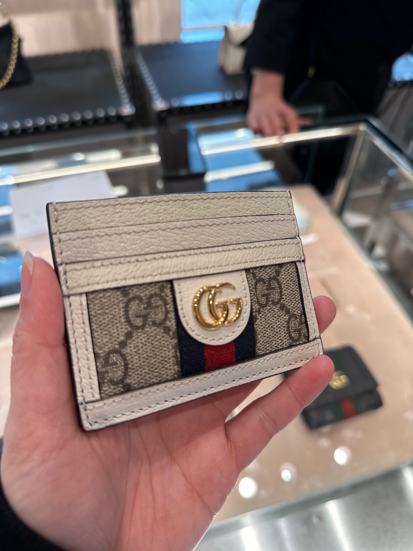 Gg ophidia Card holder