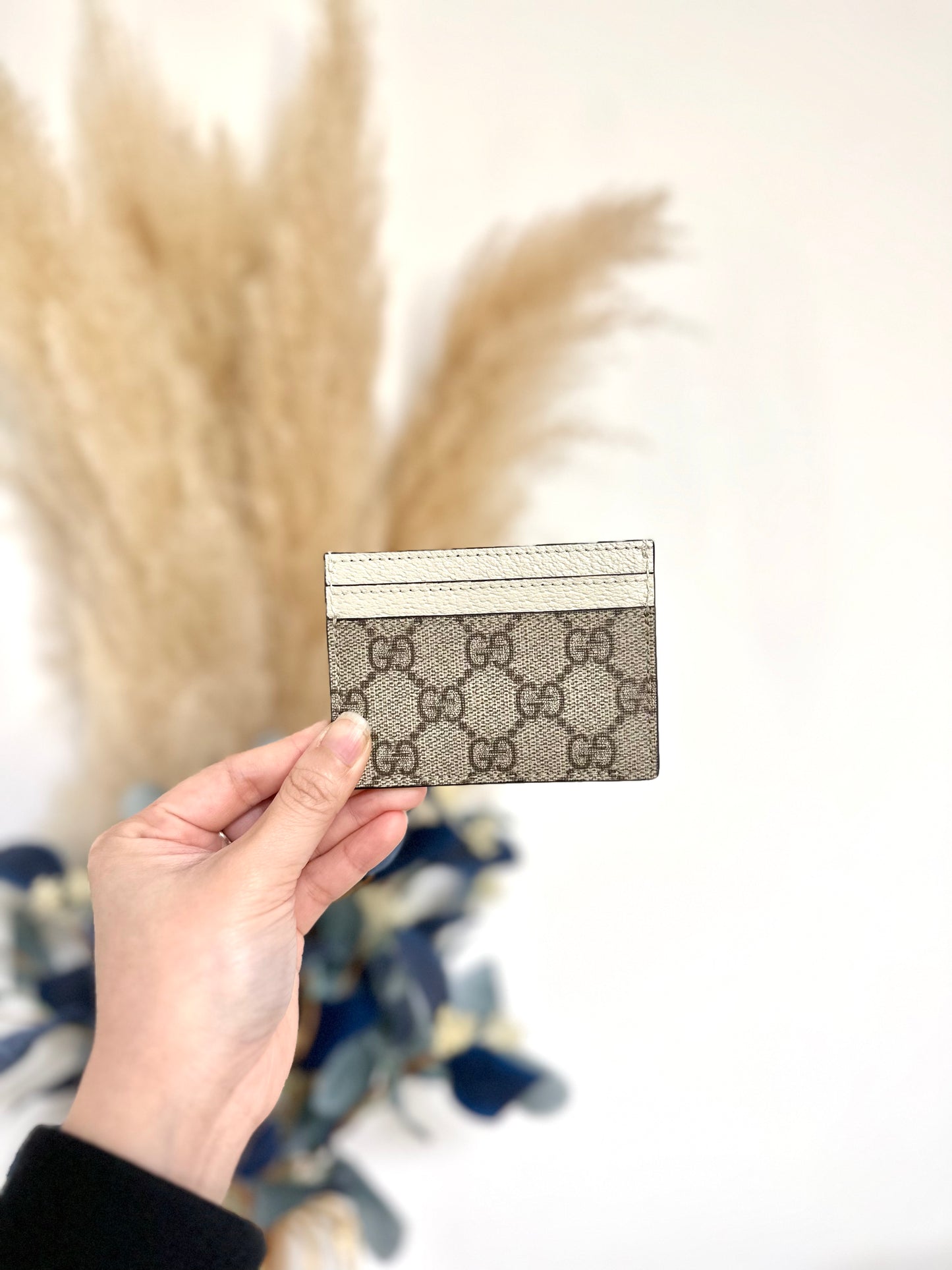 Gg ophidia Card holder