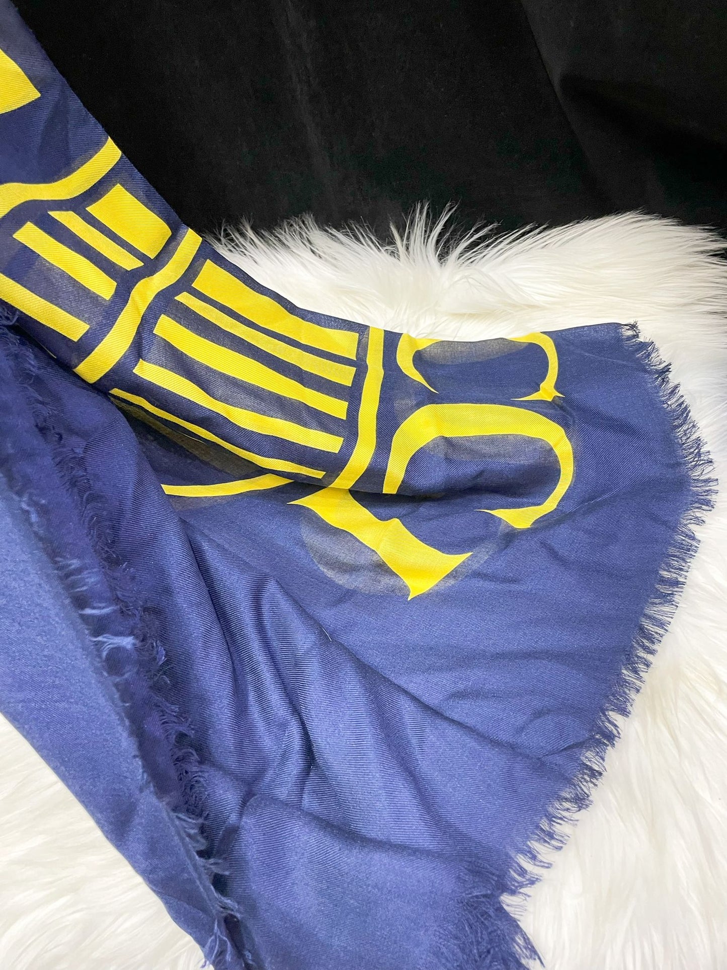 大logo scarf (silk)